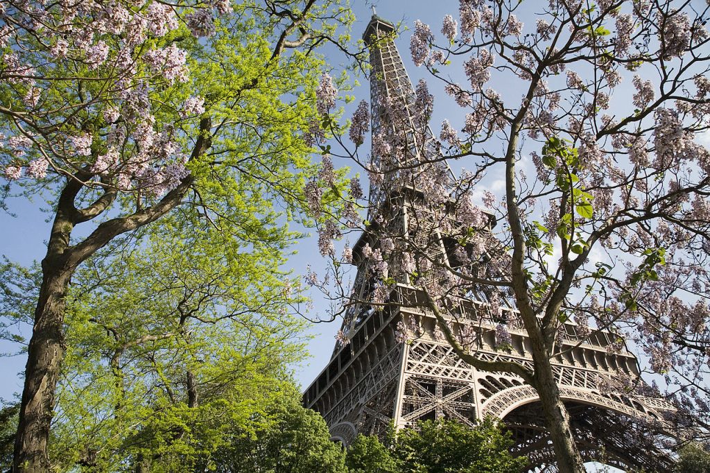 Planning Your Trip to France: Eiffel Tower in Spring