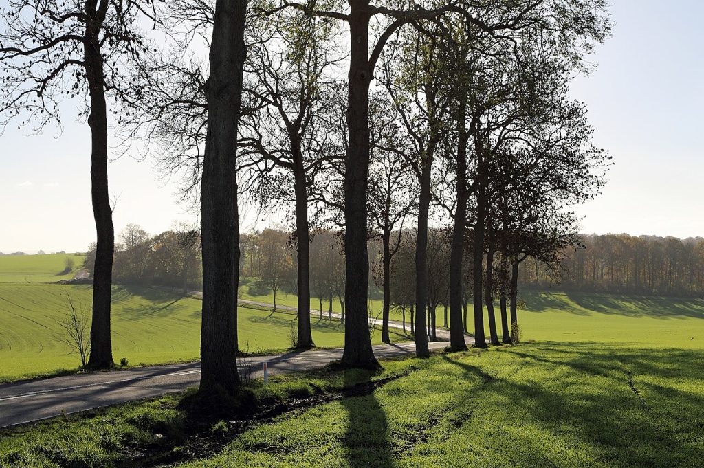 Tailored Trips in France: Countryside